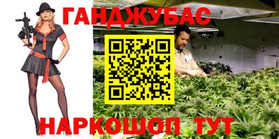 прущие грибы Будённовск