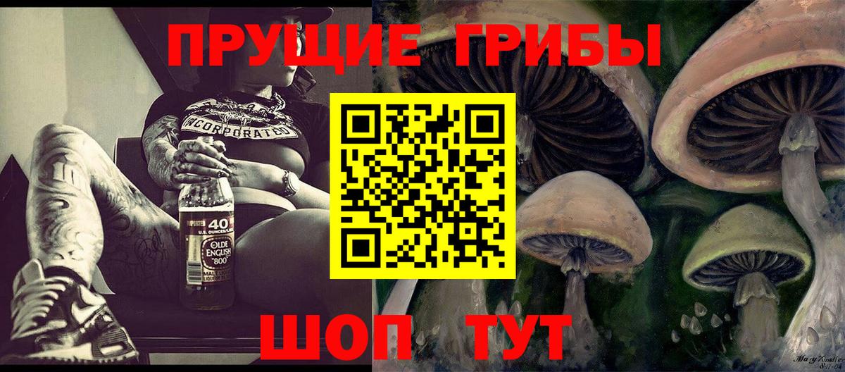 Галлюциногенные грибы GOLDEN TEACHER  Вход с VPN  наркотики  Старый Оскол  Галлюциногенные грибы MAGIC MUSHROOMS 